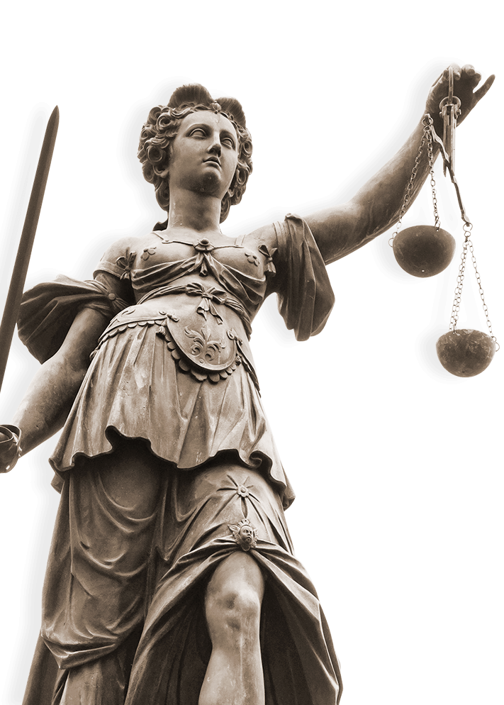 Why Choose partition Action Law Firm