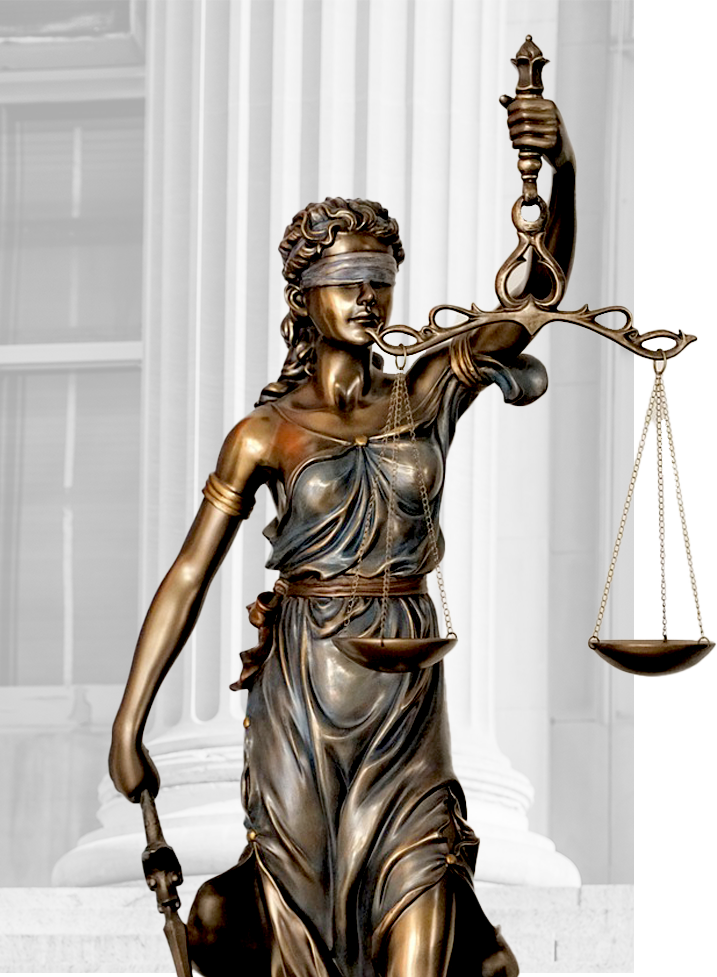 Why Choose partition Action Law Firm