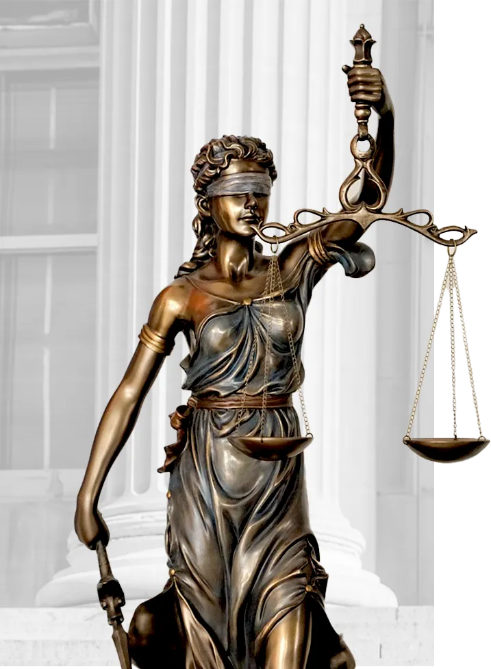 Why Choose partition Action Law Firm